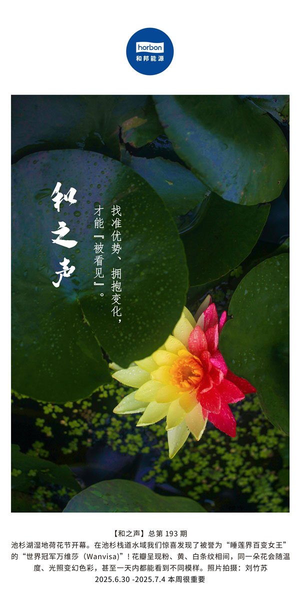【和之声】找准优势、拥抱变动，能力“被看见”。(总第193期）--2025.6中文导出季度推送用.jpg